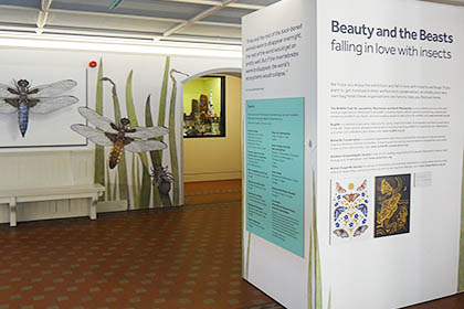 Beauty & The Beasts Exhibition – Manchester Museum – Build & Installation