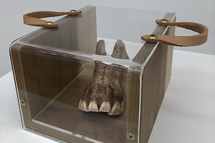 Tulip-Wood-Display-Boxs-Mostyn-Art-Gallery2