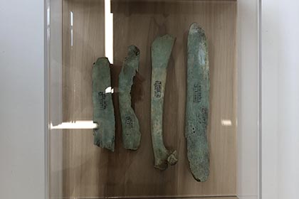 Tulip-Wood-Display-Boxs-Mostyn-Art-Gallery3