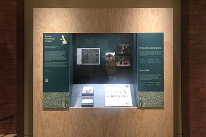 WILD-Manchester-Museum-Expo-Cabinetry1