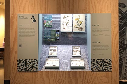 WILD-Manchester-Museum-Expo-Cabinetry2