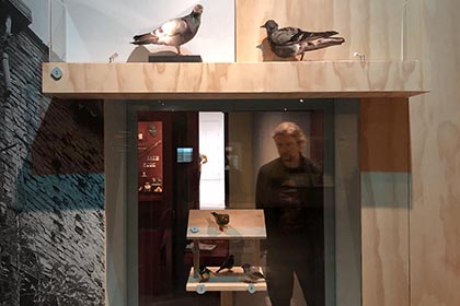 WILD-Manchester-Museum-Expo-Cabinetry4