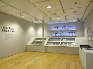 Manchester Museum Object Lessons Exhibition.